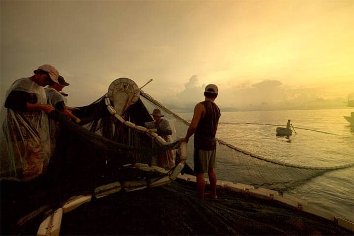 đánh cá tại phú quốc nước mắm chinsu
