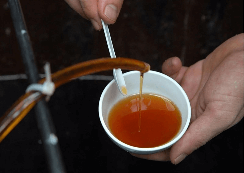 các loại nước mắm