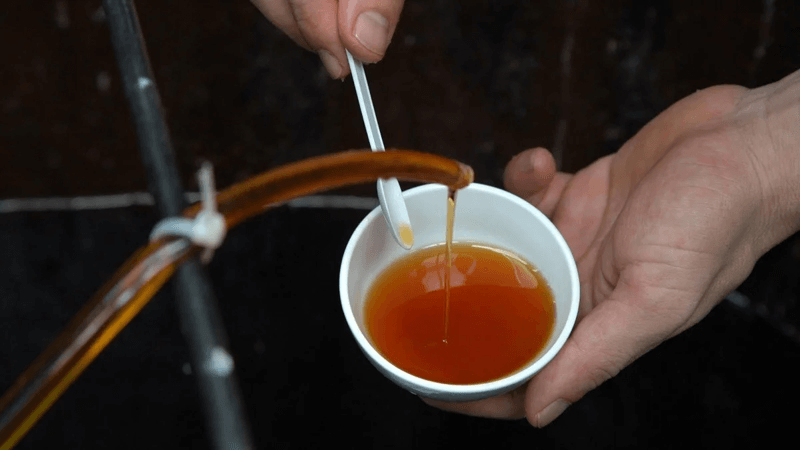 Nước mắm nguyên chất tại nhà