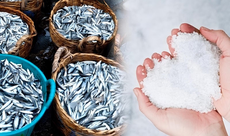 nước mắm cá cơm là gì