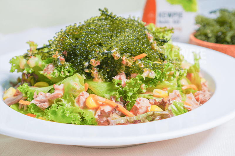 cách làm salad trộn mayonnaise đơn giản