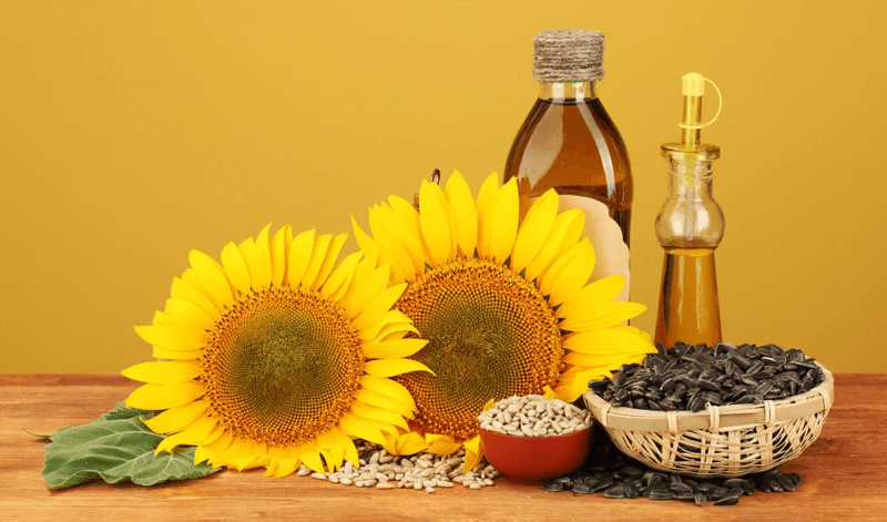 dầu ăn hướng dương có tốt không