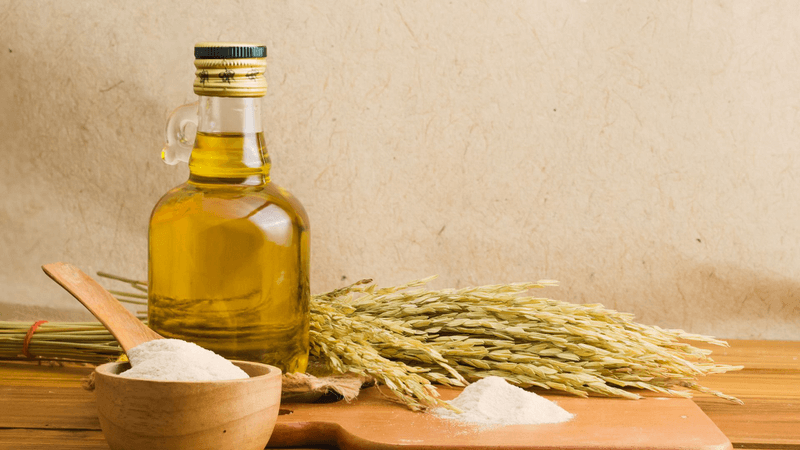 Cách làm dầu gạo