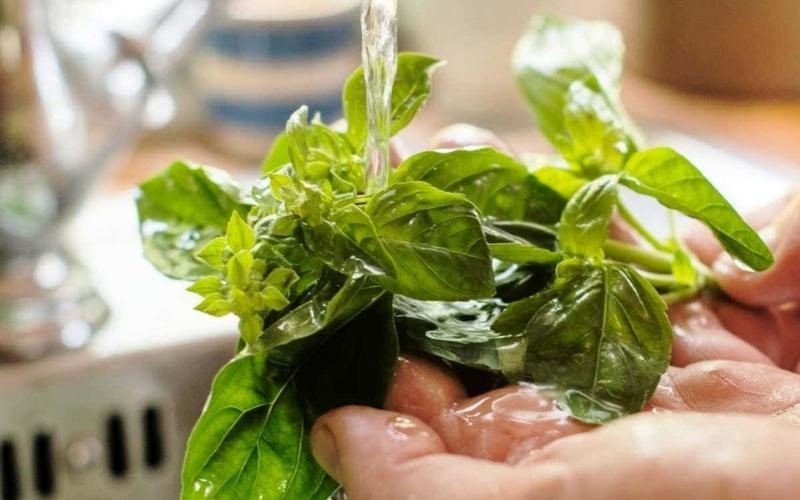 làm lẩu cá lăng nấu mẻ